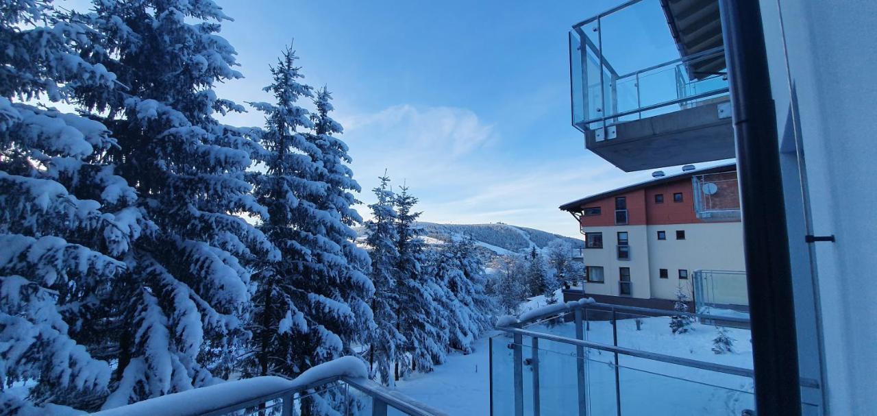 Apartman Nerudovka D 104, Finska Sauna, Garazove Stani Лоучна-под-Клиновцем Экстерьер фото