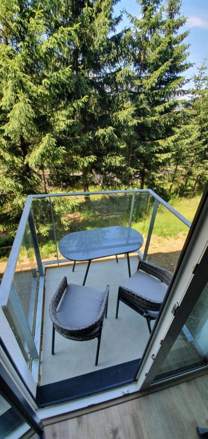 Apartman Nerudovka D 104, Finska Sauna, Garazove Stani Лоучна-под-Клиновцем Экстерьер фото